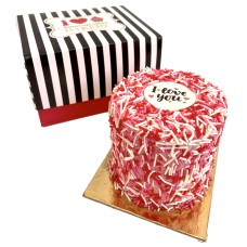Pink Bento Cake